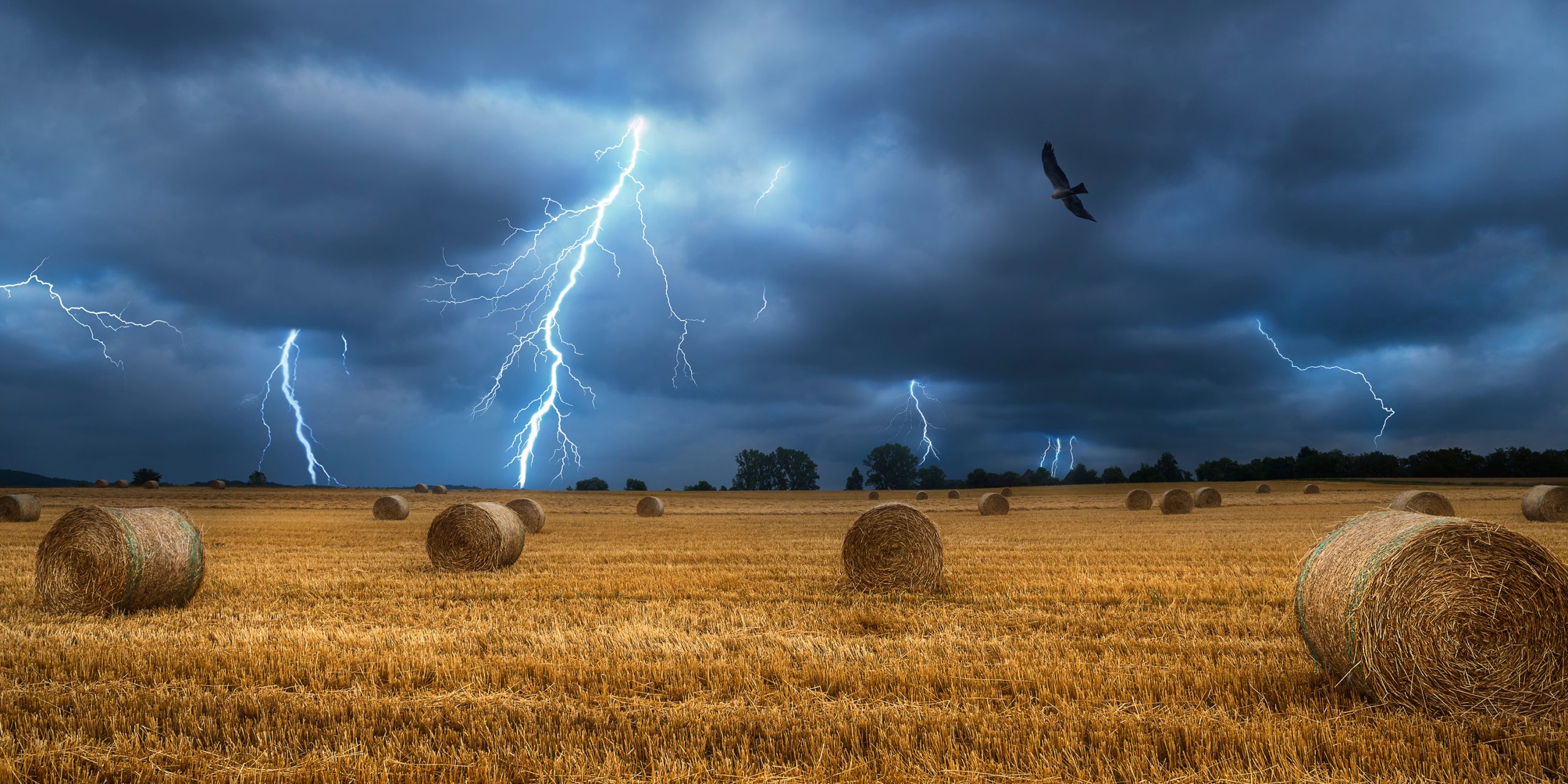 Blitzeinschlag auf Feld